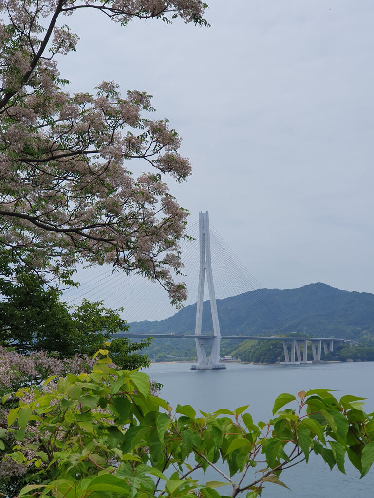Last of the blossoms along the route, over the Seto Inland Sea